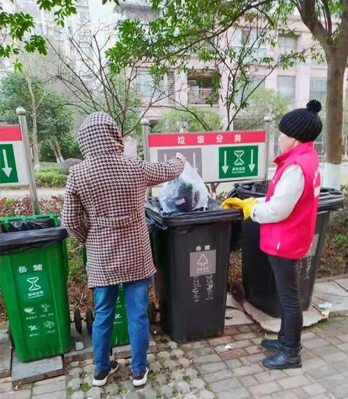 探訪長沙市生活垃圾分類示范街道 城市生活垃圾精準(zhǔn)治理新樣本